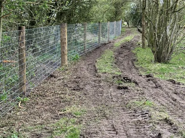 Tornado Torus R13/120/8 - 50m 