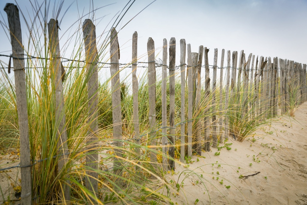 Clôture Chataignier 0,5m h x 10m l x 5cm (2 horiz)