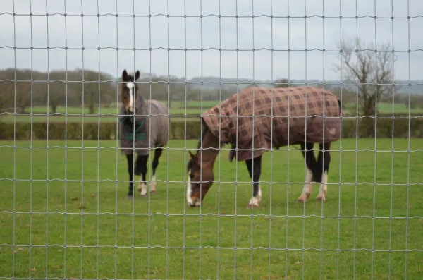 Tornado Torus R13/120/5 - 50m