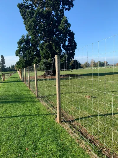 [T-HZST065801] Tornado HT6/58/8 - 50M