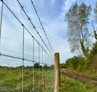 [T-RZST151401] Tornado Torus R15/140/5 - 50M